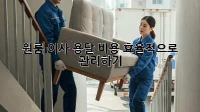 원룸 이사, 용달 비용 효율적으로 관리하기!