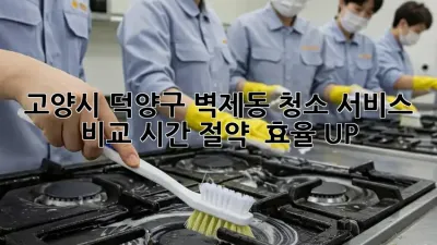 고양시 덕양구 벽제동 청소 서비스 비교: 시간 절약 & 효율 UP!