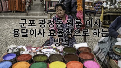 군포 광정동 원룸 이사? 용달이사 효율적으로 하는 방법!